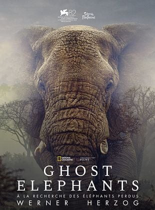 poster de GHOST ELEPHANTS (VO)